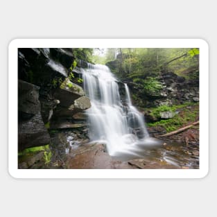 Ricketts Glen Sticker